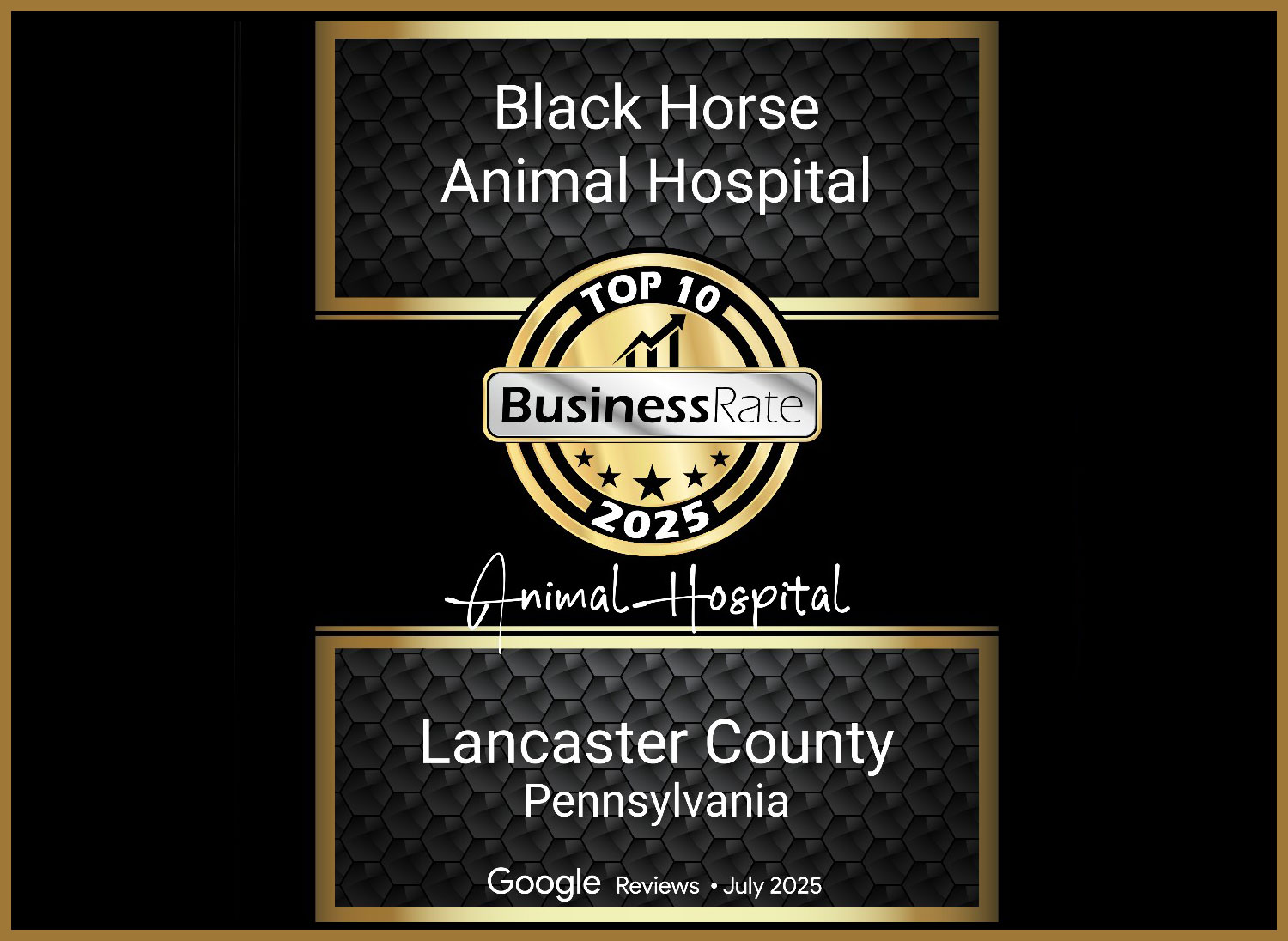 About our clinic